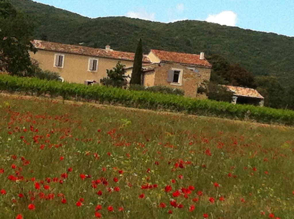 Bed and Breakfast La Rivayne Lourmarin Camera foto