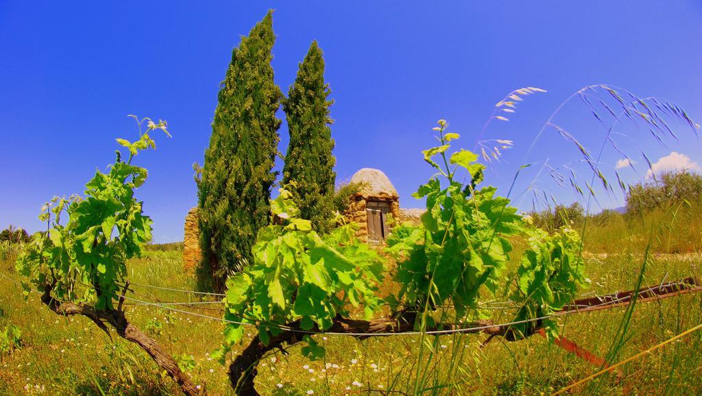 Bed and Breakfast La Rivayne Lourmarin Esterno foto